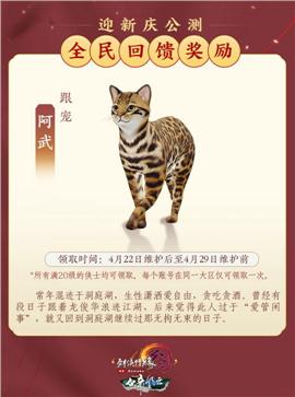 侠客天龙八部私服